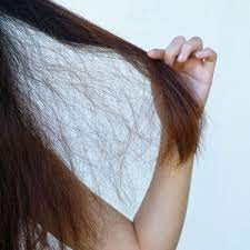 Cara mengatasi masalah rambut kering dengan ampuh