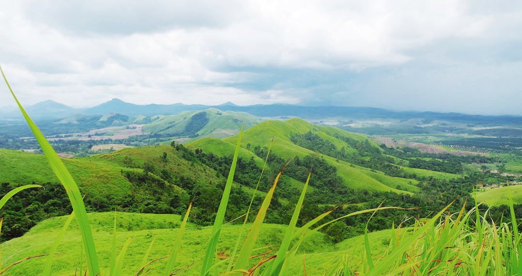 Panorama Keindahan Bukit Telang Pelaihari, Serasa di Perbukitan Sumba -  Indonesia Kaya